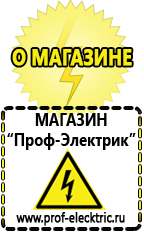 Магазин электрооборудования Проф-Электрик Двигатели для мотоблоков в Биробиджане