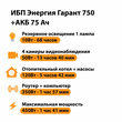 ИБП для котла Энергия Гарант 750 + Аккумулятор 75 Ач 12 В (450Вт - 91мин) - ИБП и АКБ - ИБП для котлов - Магазин электрооборудования Проф-Электрик
